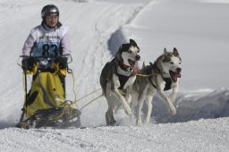 Kandersteg 2013